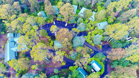 Lemonthyme Wilderness Retreat - Phillip Island Accommodation 1