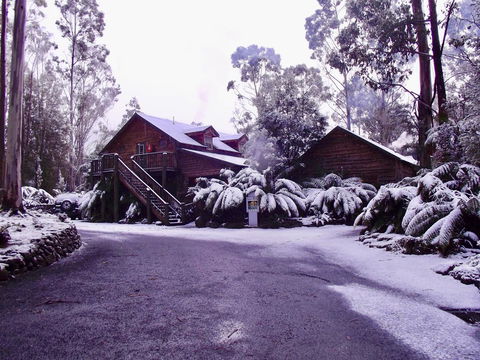 Lemonthyme Wilderness Retreat - Phillip Island Accommodation 12