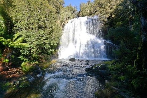 Lemonthyme Wilderness Retreat - Phillip Island Accommodation 19
