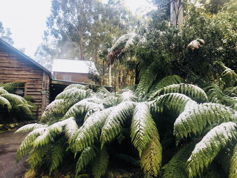 Lemonthyme Wilderness Retreat - Phillip Island Accommodation 5