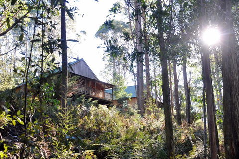 Lemonthyme Wilderness Retreat - Phillip Island Accommodation 25