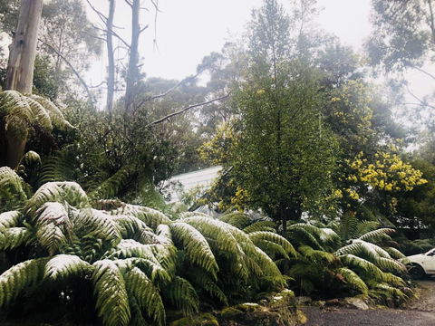 Lemonthyme Wilderness Retreat - Phillip Island Accommodation 16