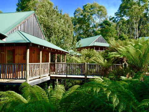 Lemonthyme Wilderness Retreat - Phillip Island Accommodation 11