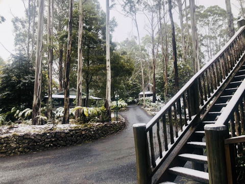 Lemonthyme Wilderness Retreat - Phillip Island Accommodation 15