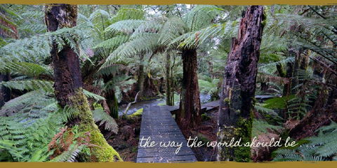 Lemonthyme Wilderness Retreat - Phillip Island Accommodation 17