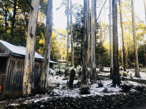 Lemonthyme Wilderness Retreat - Phillip Island Accommodation 6