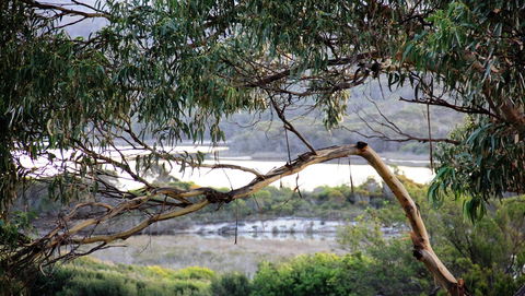 KINGFISHER COTTAGE Beachfront At The Binalong Bay - Phillip Island Accommodation 17