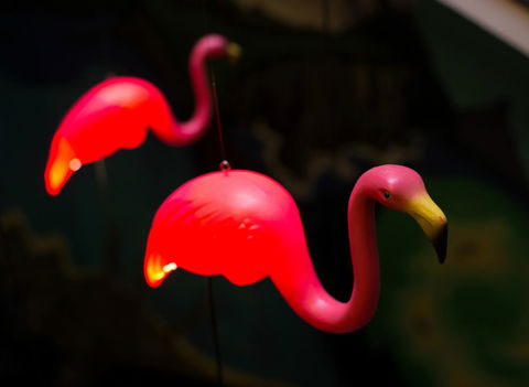 Alabama Hotel Hobart - Phillip Island Accommodation 42