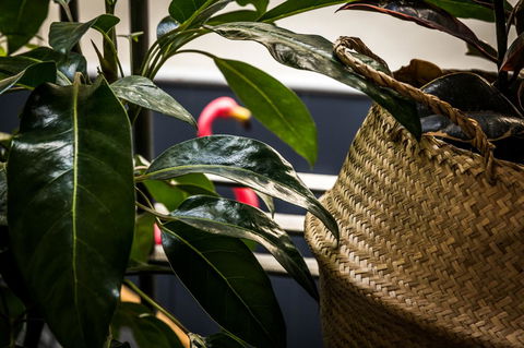 Alabama Hotel Hobart - Phillip Island Accommodation 25