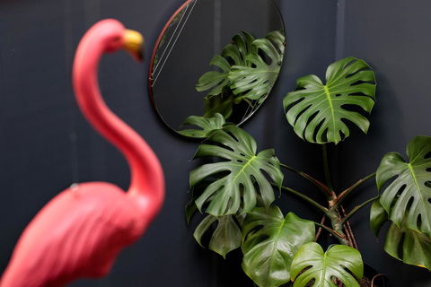 Alabama Hotel Hobart - Phillip Island Accommodation 15