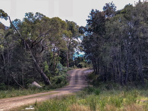 BAY OF FIRES ECO HUT Off Grid Experience At Binalong Bay - Phillip Island Accommodation 12