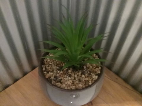 Tullah Tavern - Phillip Island Accommodation 6