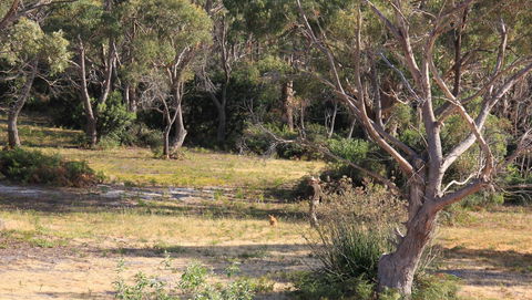 BAY OF FIRES SEACHANGE Ocean Frontage - Phillip Island Accommodation 12