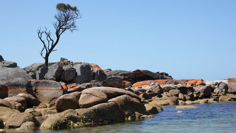 BAY OF FIRES SEACHANGE Ocean Frontage - Phillip Island Accommodation 21