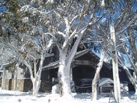 Book Dinner Plain Accommodation Vacations Phillip Island Accommodation Phillip Island Accommodation