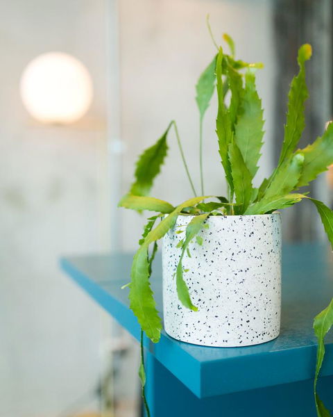 Sage Melbourne Ringwood - Phillip Island Accommodation 36