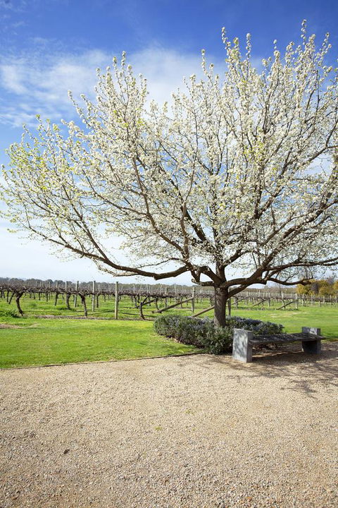 Lancemore Milawa - Phillip Island Accommodation 12