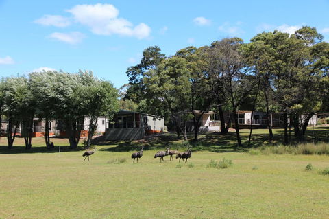 Halls Gap Lakeside Tourist Park - Phillip Island Accommodation 1