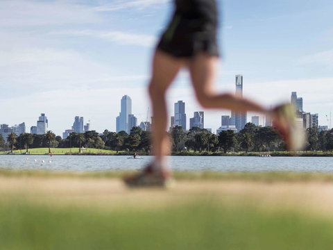 Mercure Melbourne Albert Park - Phillip Island Accommodation 41