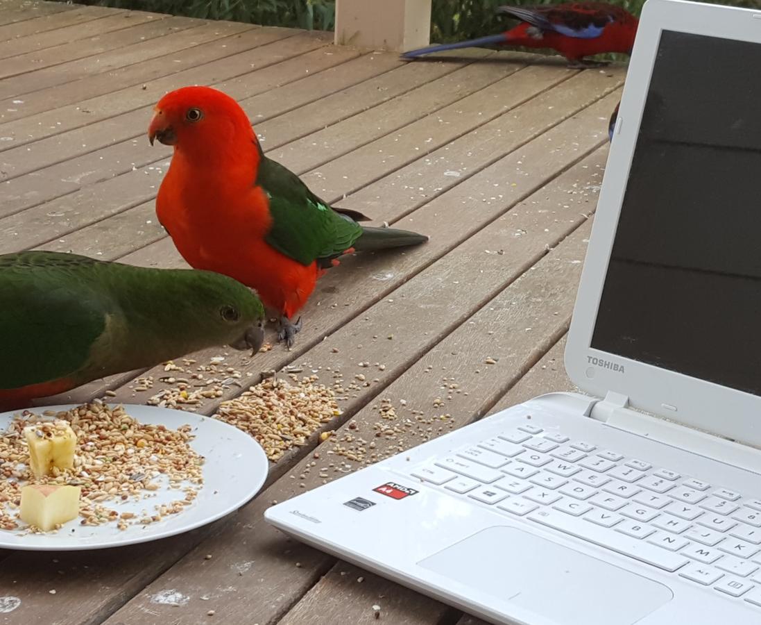 Phillip Island Accommodation