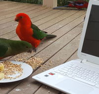 Wilsons Promontory Motel - Phillip Island Accommodation