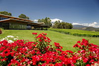 Book Yarra Glen Accommodation Vacations Phillip Island Accommodation Phillip Island Accommodation