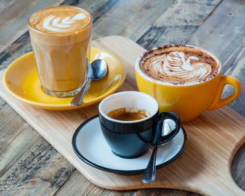 Essence Hotel Carlton - Phillip Island Accommodation 42