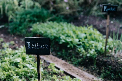 Acre Of Roses - Phillip Island Accommodation 6