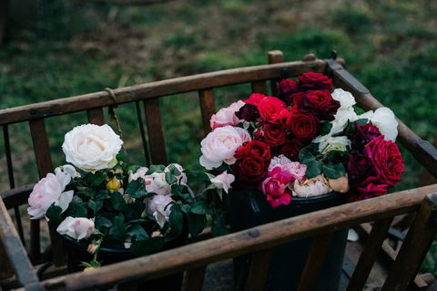 Acre Of Roses - Phillip Island Accommodation 21