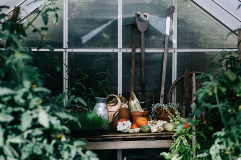 Acre Of Roses - Phillip Island Accommodation 16