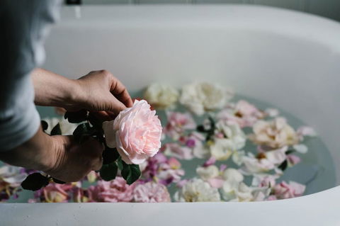 Acre Of Roses - Phillip Island Accommodation 7