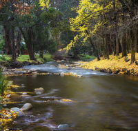 Goldfield Holiday Units - Phillip Island Accommodation