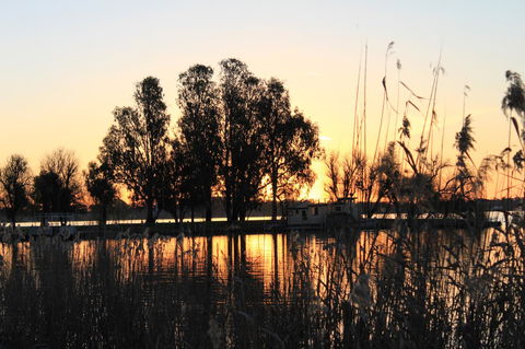 Motel Yarrawonga - Phillip Island Accommodation 20