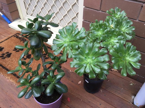 Doncaster Westfield Home Stay - Phillip Island Accommodation 23