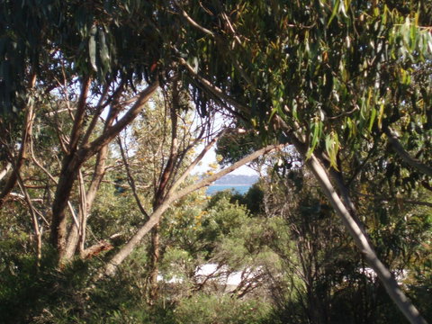 Aloha Ha Phillip Island - Phillip Island Accommodation 24