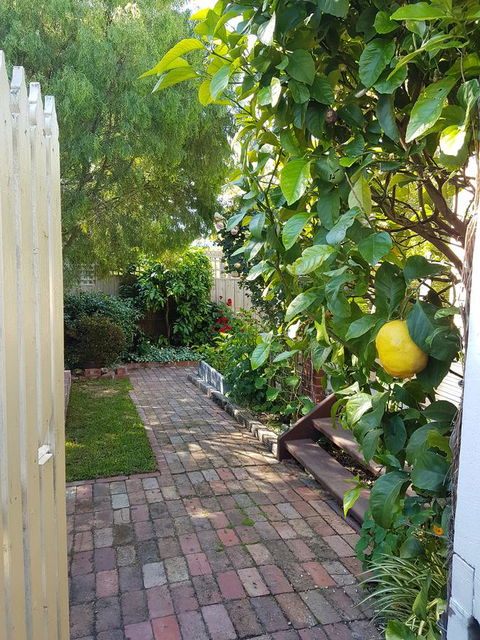 Healesville House - Fig Tree House - Phillip Island Accommodation 17