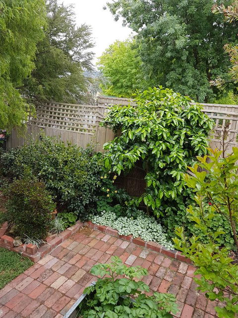 Healesville House - Fig Tree House - Phillip Island Accommodation 21