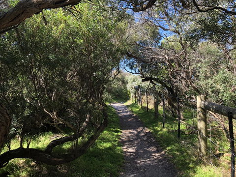 Beautiful, Cosy And Quiet - Phillip Island Accommodation 20