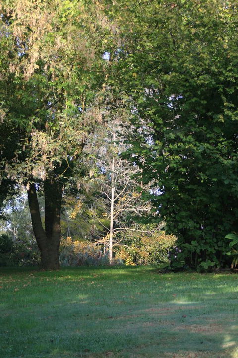 Strathmore Farm B&B - Phillip Island Accommodation 26