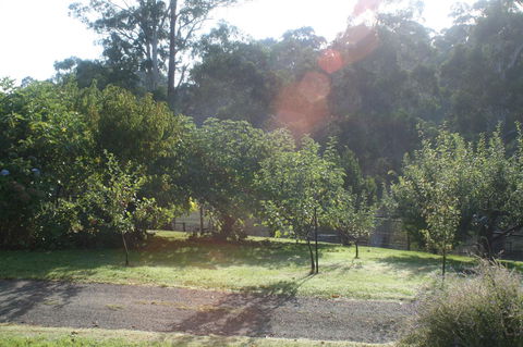 Strathmore Farm B&B - Phillip Island Accommodation 19