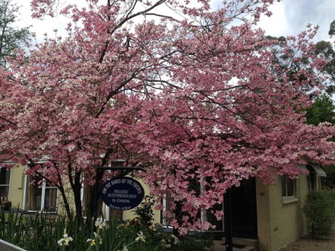 On The Banks - Phillip Island Accommodation 23