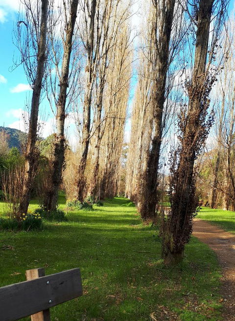 On The Banks - Phillip Island Accommodation 11