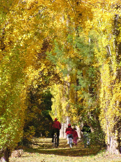 On The Banks - Phillip Island Accommodation 15
