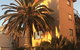 Beach Front Beauty - thumb 11