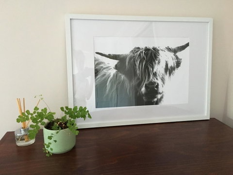 Ocean View Beach House - Phillip Island Accommodation 4