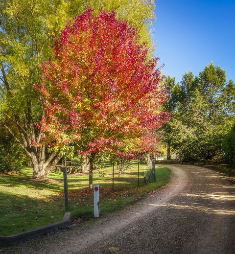 Bright Mystic Valley - Phillip Island Accommodation 23