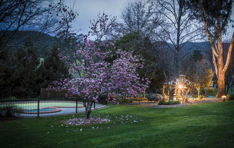 Bright Mystic Valley - Phillip Island Accommodation 26