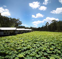 The Boathouses at Leaves  Fishes - Phillip Island Accommodation