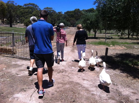 The Farm Willunga - Phillip Island Accommodation 1