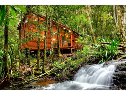 The Mouses House Rainforest Retreat - Phillip Island Accommodation 0